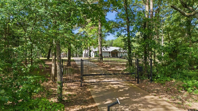 1490 Fm 13 E, Troup, TX 75789 - view of concrete surface featuring a gate and a gated entry