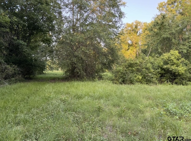 TBD Billy Daniel St, Mount Pleasant, TX 75455 - photo 5