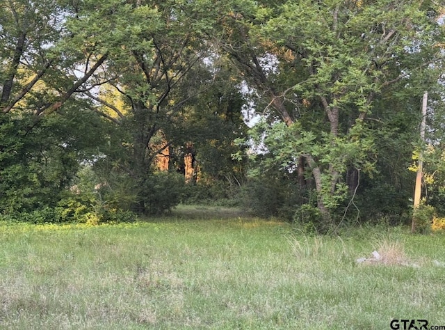 TBD Billy Daniel St, Mount Pleasant, TX 75455 - photo 2