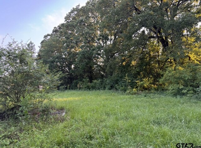 TBD Billy Daniel St, Mount Pleasant, TX 75455 - photo 4