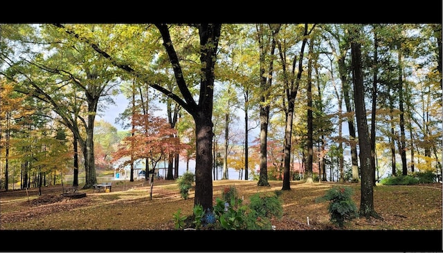 view of yard with a water view