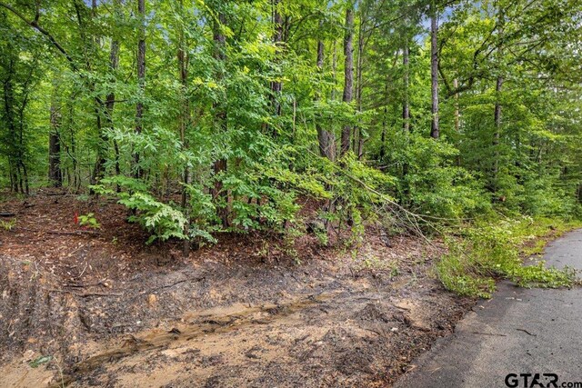 LOT31 Oakbrook Rd, Tyler, TX 75703 - photo 9