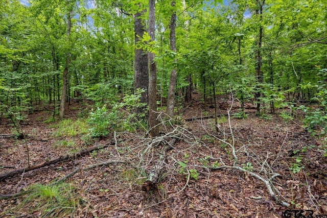 LOT31 Oakbrook Rd, Tyler, TX 75703 - photo 8