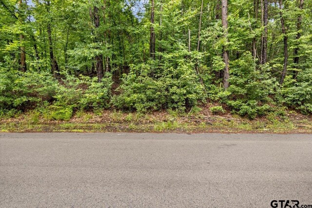 LOT31 Oakbrook Rd, Tyler, TX 75703 - photo 4