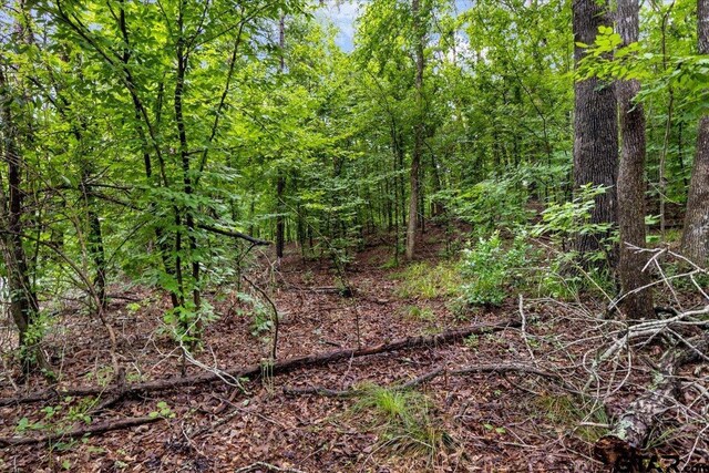 LOT31 Oakbrook Rd, Tyler, TX 75703 - photo 7