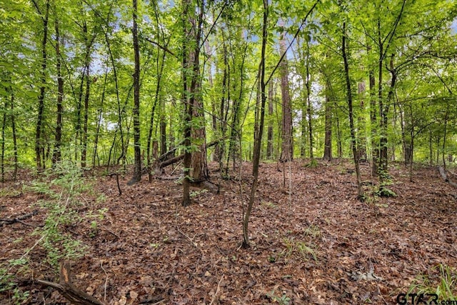 LOT31 Oakbrook Rd, Tyler, TX 75703 - photo 5