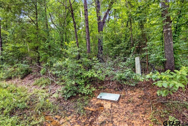 LOT31 Oakbrook Rd, Tyler, TX 75703 - photo 6