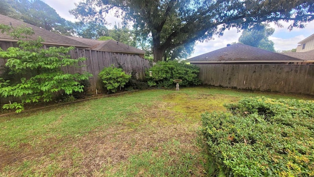 3802 Allendale Dr, Tyler, TX 75701 - view of yard