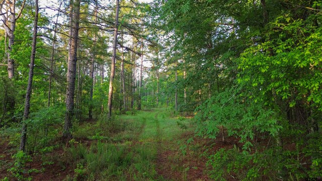 000 Henderson School House Rd, Marshall, TX 75670
