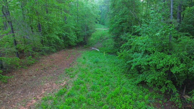 000 Henderson School House Rd, Marshall, TX 75670