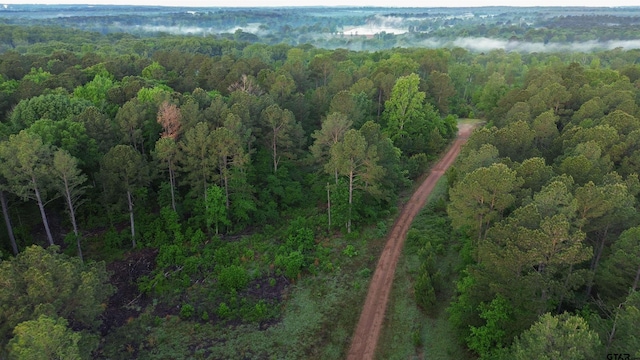 000 Henderson School House Rd, Marshall, TX 75670