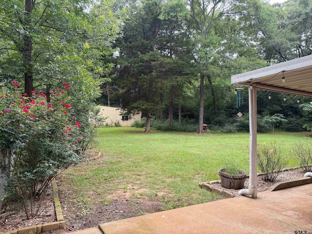 409 County Road 4204, Jacksonville, TX 75766 - photo 31