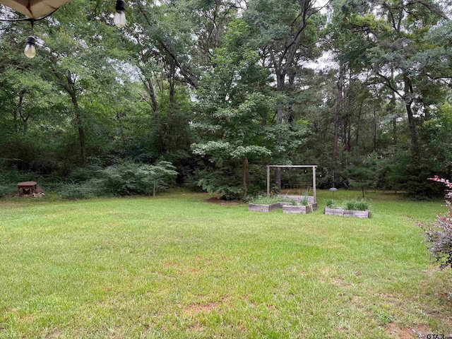409 County Road 4204, Jacksonville, TX 75766 - photo 33