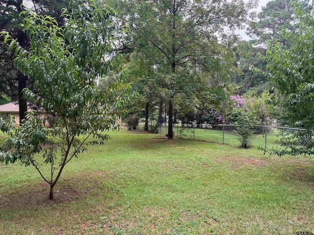 409 County Road 4204, Jacksonville, TX 75766 - photo 38