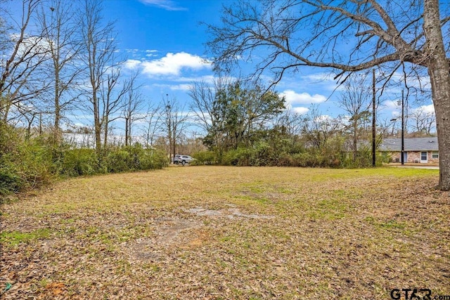 Listing photo 3 for 0 S Athena St, Troup TX 75789