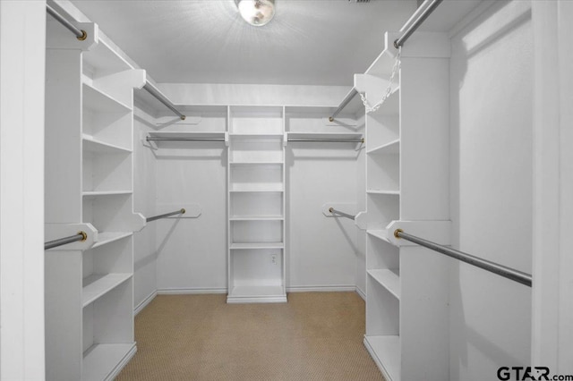 spacious closet featuring carpet