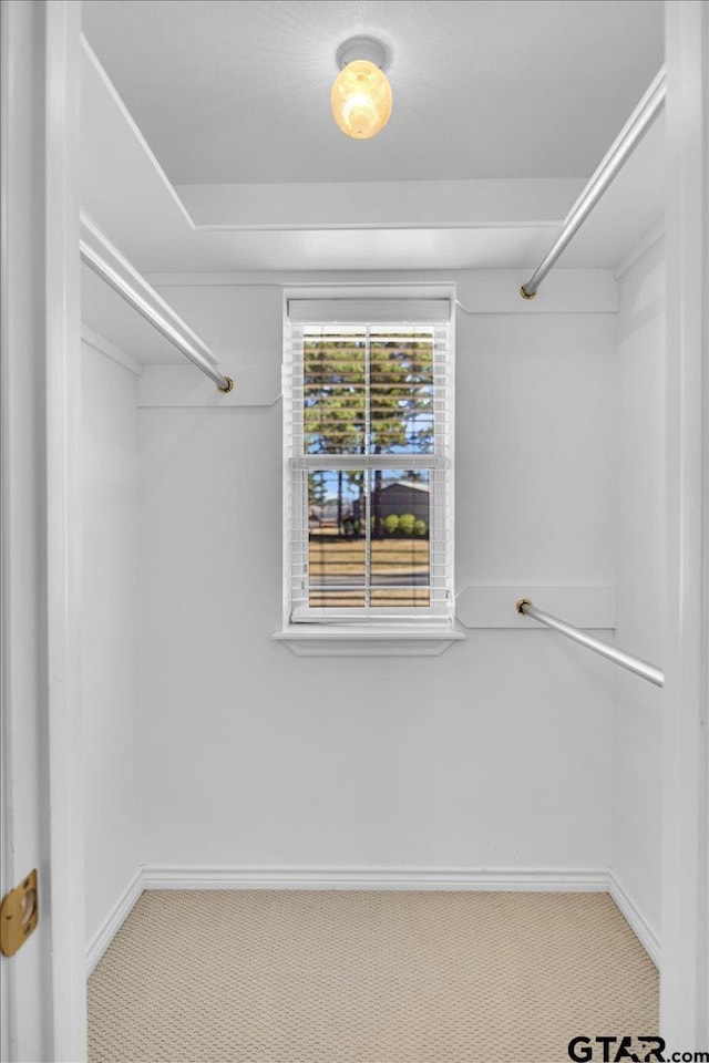 walk in closet featuring carpet flooring