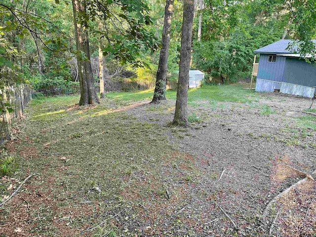 view of yard with a shed