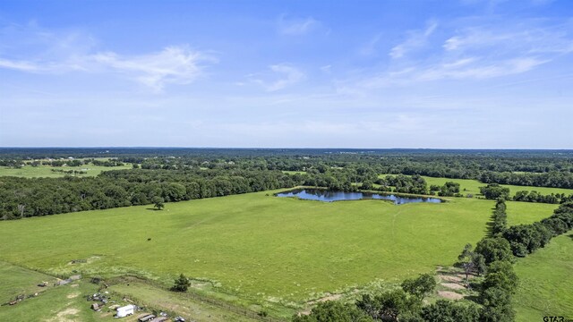 TBD Fm 17, Grand Saline, TX 75140 - photo 45