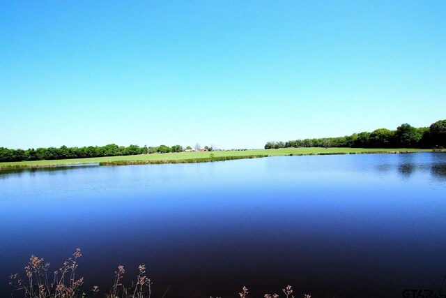 TBD Fm 17, Grand Saline, TX 75140 - photo 16