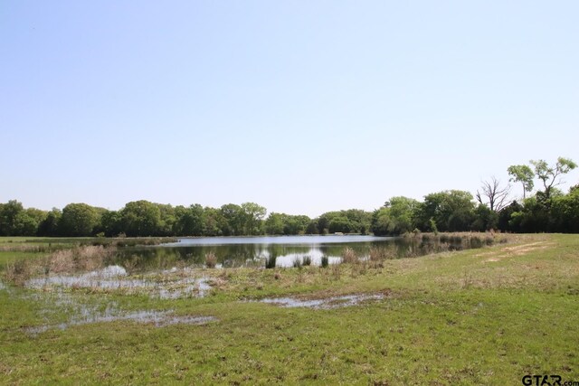 TBD Fm 17, Grand Saline, TX 75140 - photo 23