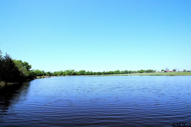 TBD Fm 17, Grand Saline, TX 75140 - photo 11