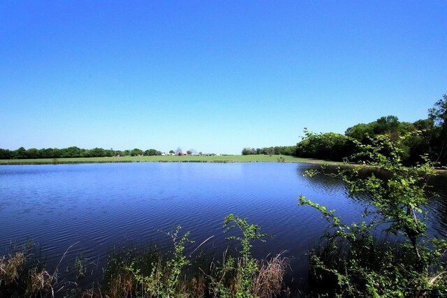 TBD Fm 17, Grand Saline, TX 75140 - photo 3