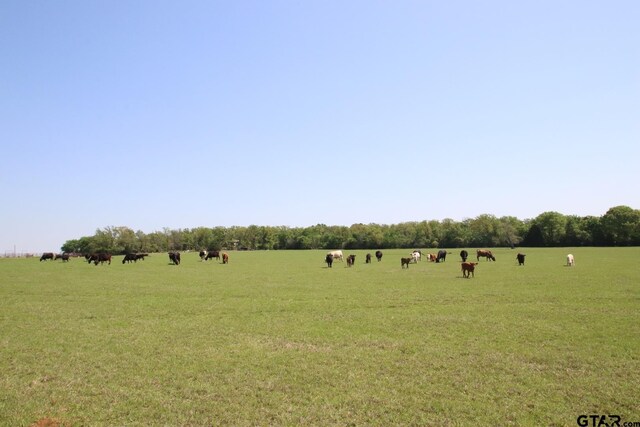 TBD Fm 17, Grand Saline, TX 75140 - photo 30