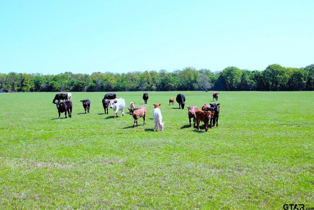 TBD Fm 17, Grand Saline, TX 75140 - photo 31