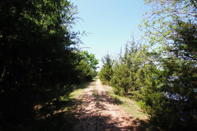 TBD Fm 17, Grand Saline, TX 75140 - photo 6