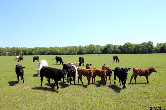 TBD Fm 17, Grand Saline, TX 75140 - photo 32