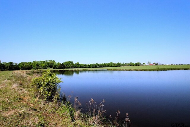 TBD Fm 17, Grand Saline, TX 75140 - photo 12