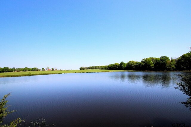 TBD Fm 17, Grand Saline, TX 75140 - photo 7