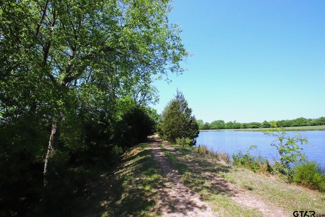 TBD Fm 17, Grand Saline, TX 75140 - photo 5