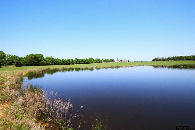 TBD Fm 17, Grand Saline, TX 75140 - photo 18