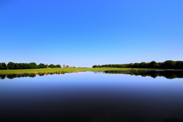 TBD Fm 17, Grand Saline, TX 75140 - photo 1