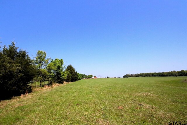 TBD Fm 17, Grand Saline, TX 75140 - photo 20