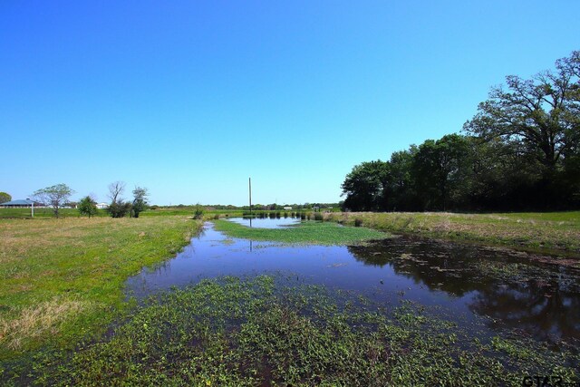 TBD Fm 17, Grand Saline, TX 75140 - photo 37