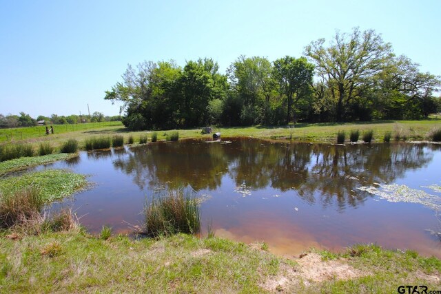 TBD Fm 17, Grand Saline, TX 75140 - photo 34