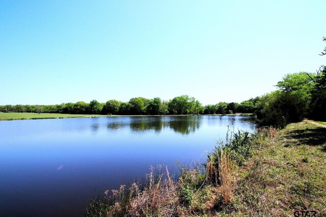 TBD Fm 17, Grand Saline, TX 75140 - photo 13