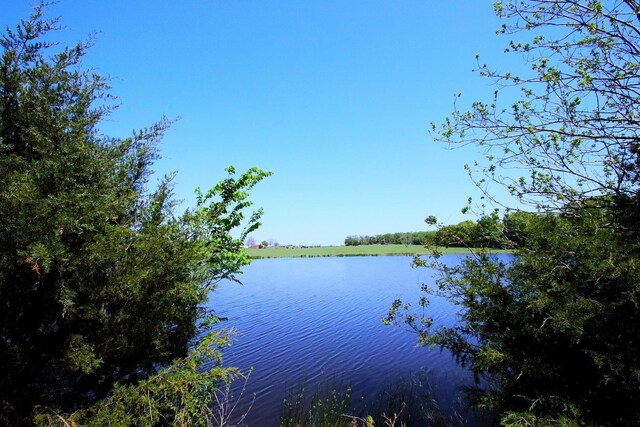 TBD Fm 17, Grand Saline, TX 75140 - photo 10