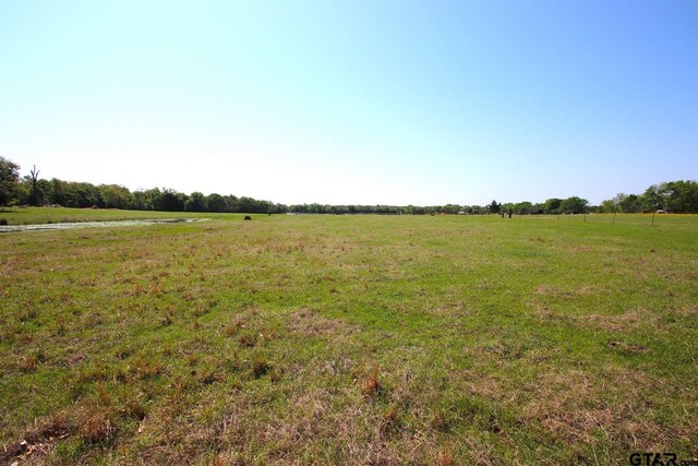 TBD Fm 17, Grand Saline, TX 75140 - photo 28