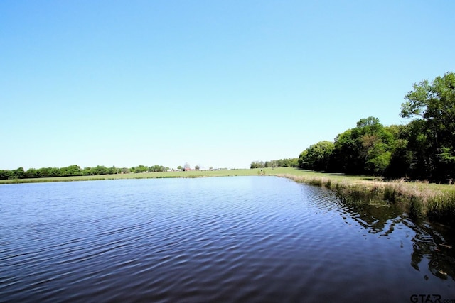 TBD Fm 17, Grand Saline, TX 75140 - photo 2