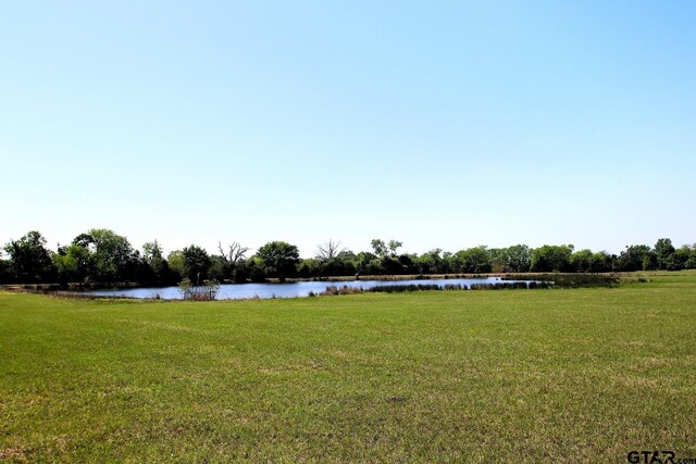 TBD Fm 17, Grand Saline, TX 75140 - photo 43