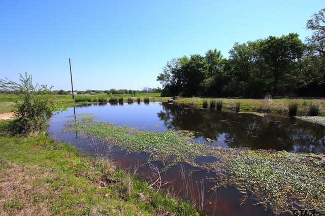 TBD Fm 17, Grand Saline, TX 75140 - photo 35