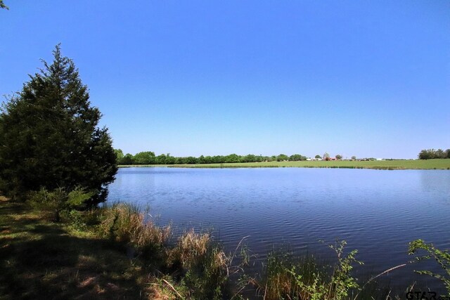 TBD Fm 17, Grand Saline, TX 75140 - photo 4