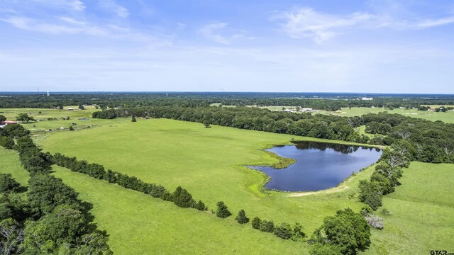 TBD Fm 17, Grand Saline, TX 75140 - photo 48