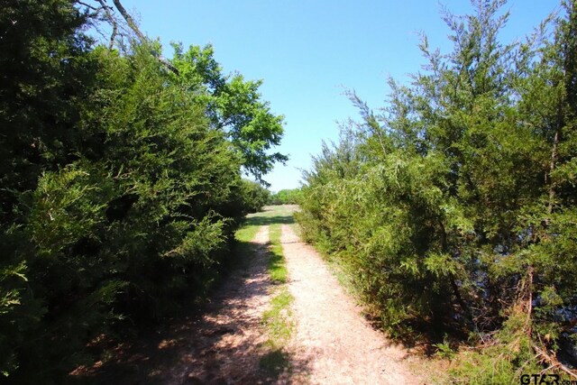 TBD Fm 17, Grand Saline, TX 75140 - photo 9