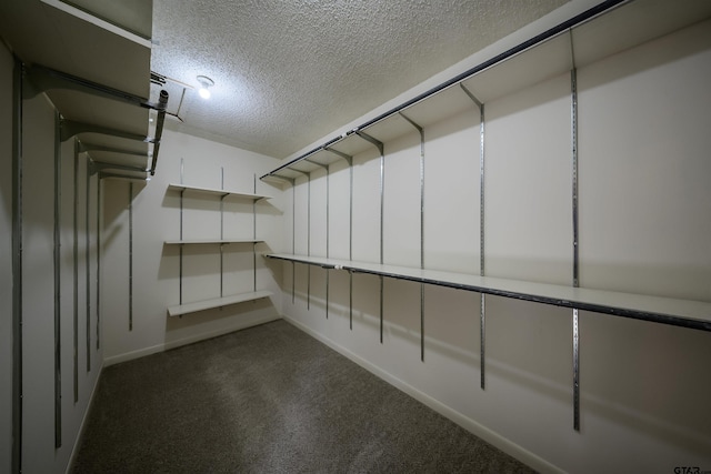 2929 Dinah Ln, Tyler, TX 75701 - spacious closet with dark carpet