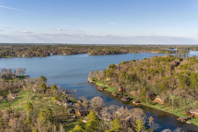 water view featuring a forest view